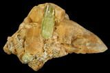 Yellow Apatite Crystal on Calcite - Morocco #84321-1